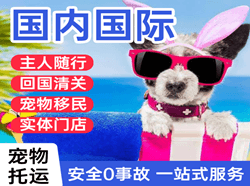 嫩江墨尔根航空运输国际宠物托运 【国